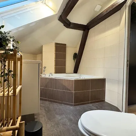 L'escale Tropicale, Centre Apartment Mulhouse