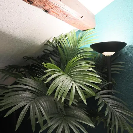 L'escale Tropicale, Centre Mulhouse