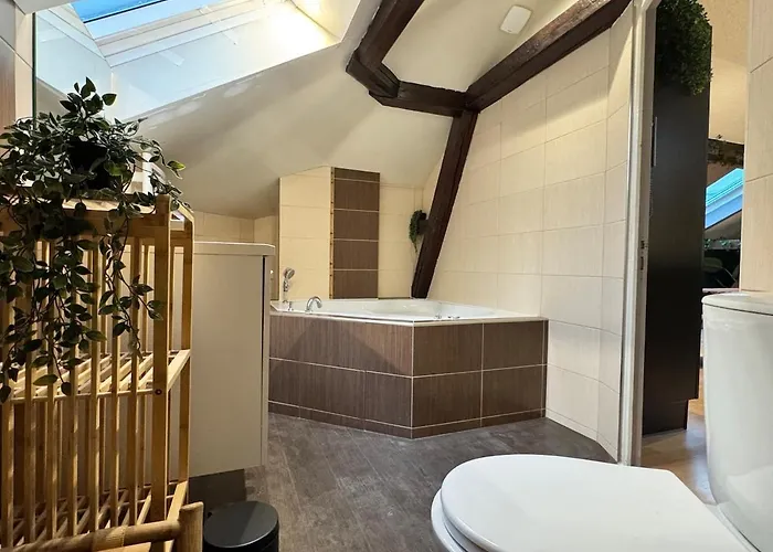 L'escale Tropicale, Centre Apartamento Mulhouse