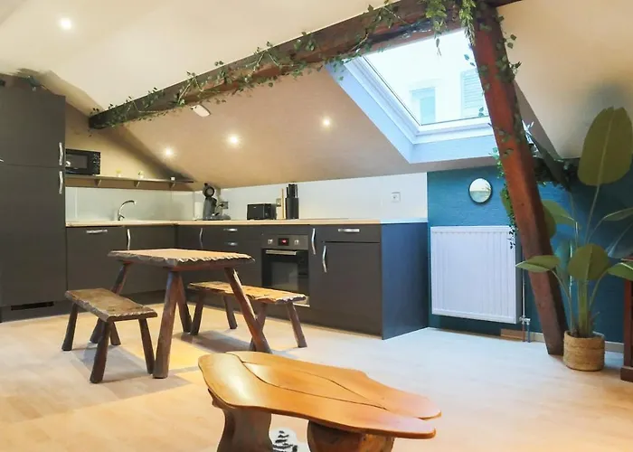 Apartamento L'escale Tropicale, Centre Mulhouse