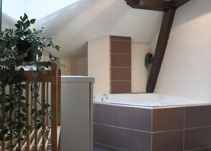 L'escale Tropicale, Centre