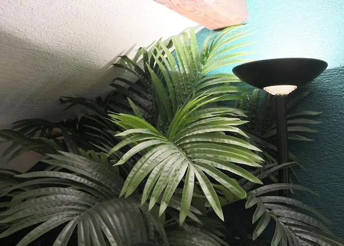 L'escale Tropicale, Centre Mulhouse